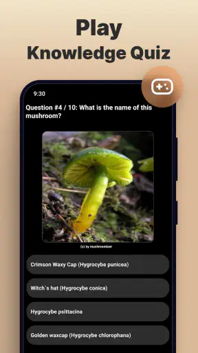 Mushromizer screenshot 6