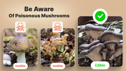 Mushromizer screenshot 8