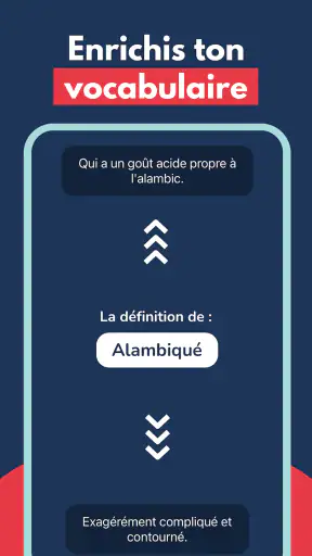 Orthographe - Sans Fautes screenshot 12