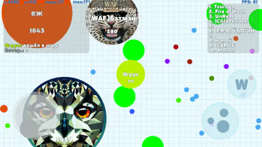 PetriDish.pw screenshot