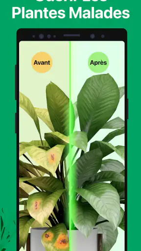 PictureThis Plante Identifier screenshot