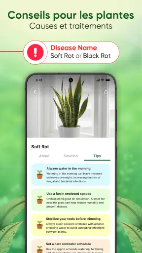 Plantes Reconnaissance & Soins screenshot