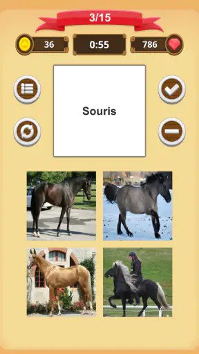 Robe Du Cheval - Quiz screenshot 11