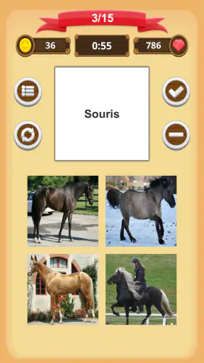 Robe Du Cheval - Quiz screenshot 4