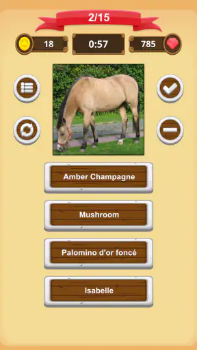 Robe Du Cheval - Quiz screenshot 9