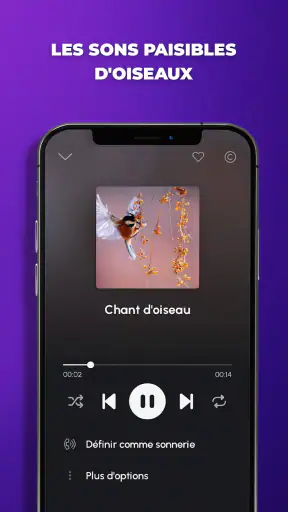 Sonneries de téléphone screenshot 7