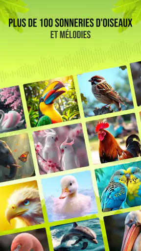 Sons d'oiseaux screenshot 3