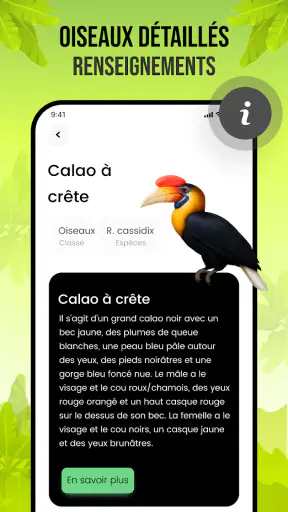 Sons d'oiseaux screenshot 6