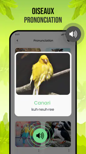 Sons d'oiseaux screenshot 7