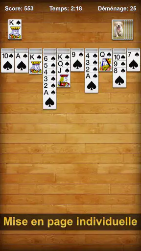 Spider Solitaire screenshot 10