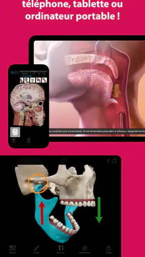 Visible Body Suite screenshot 4
