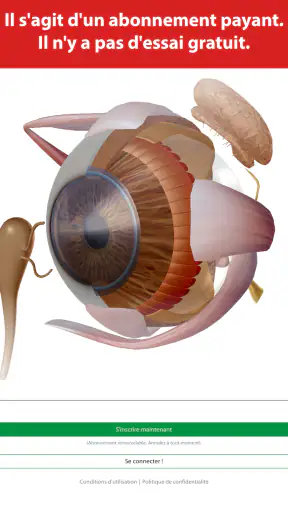 Visible Body Suite screenshot 6