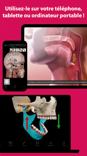 Visible Body Suite screenshot 9