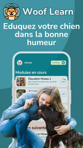 WoofLearn : Éducation du Chien screenshot