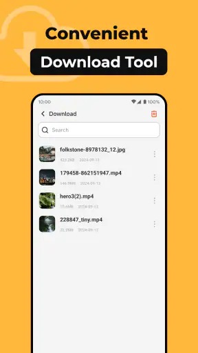All Browser screenshot 4