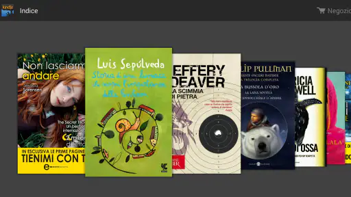 Amazon Kindle screenshot 5