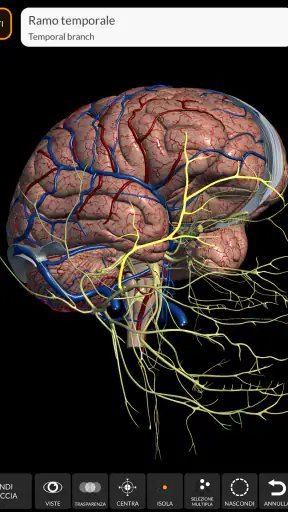 Anatomia - Atlante 3D screenshot 10