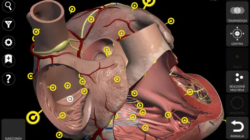 Anatomia - Atlante 3D screenshot 11