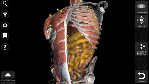 Anatomia - Atlante 3D screenshot 9