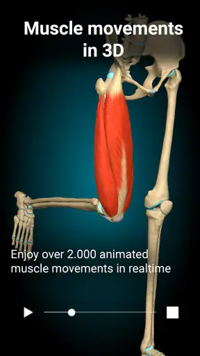 Anatomy Learning - Anatomia 3D screenshot 2