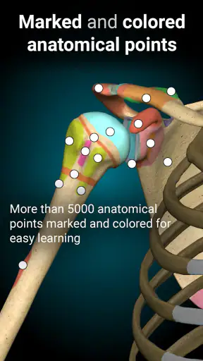 Anatomy Learning - Anatomia 3D screenshot 3