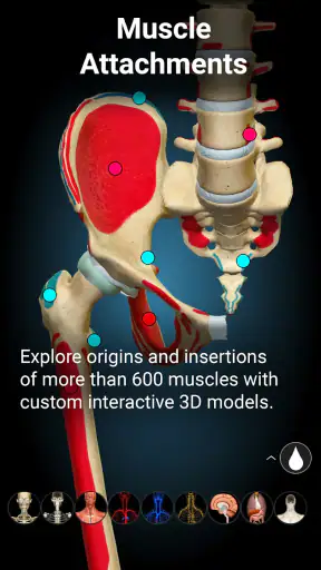 Anatomy Learning - Anatomia 3D screenshot 4