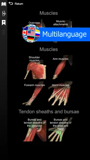 Anatomy Learning - Anatomia 3D screenshot 6