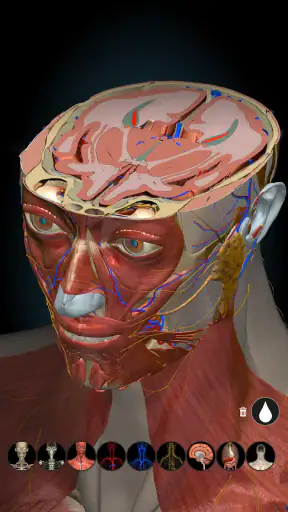 Anatomy Learning - Anatomia 3D screenshot 8