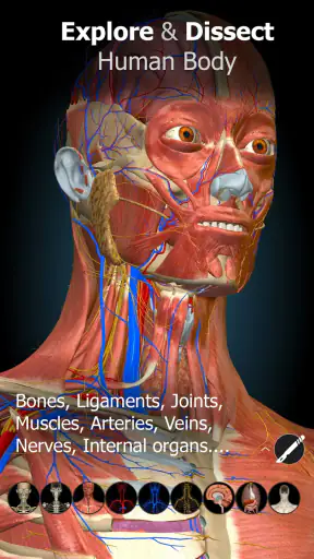 Anatomy Learning - Anatomia 3D screenshot 9