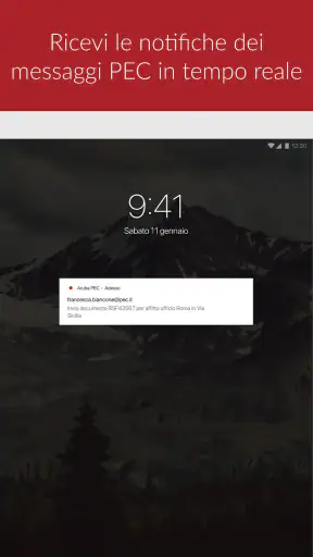 Aruba PEC screenshot 5