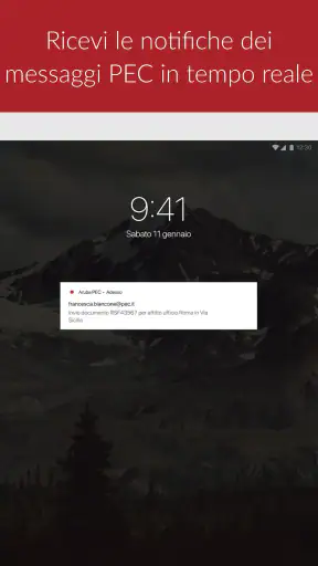 Aruba PEC screenshot 8
