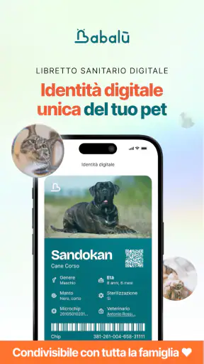 Babalù | Pet Owner->Pet Lover screenshot 10