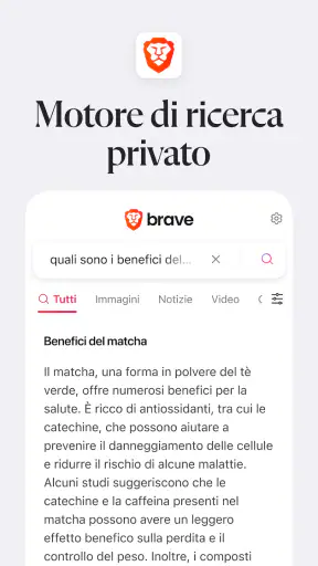 Brave Browser Web VPN Privato screenshot 7