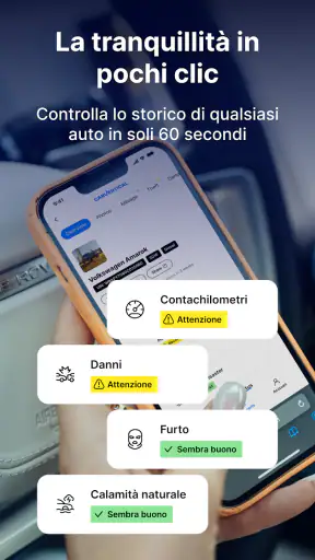 carVertical: controllo VIN screenshot 2
