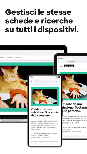 Firefox browser riservato screenshot 11