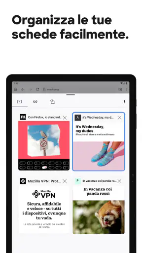 Firefox browser riservato screenshot 12