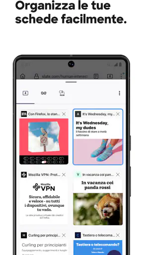 Firefox browser riservato screenshot 5