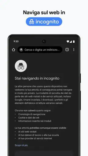 Google Chrome screenshot 6