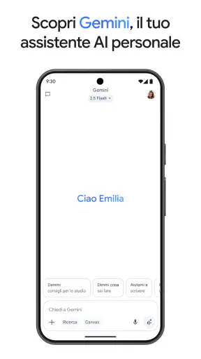Google Gemini screenshot 2
