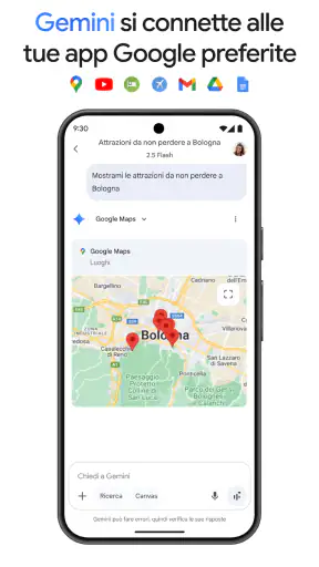 Google Gemini screenshot 6