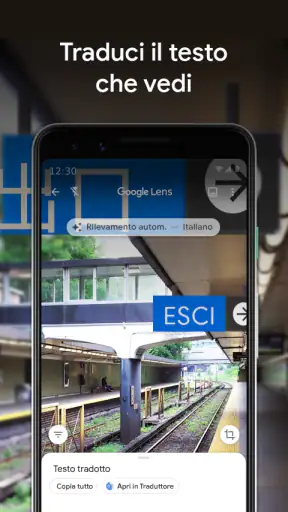 Google Lens screenshot 2
