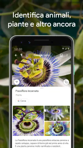 Google Lens screenshot 3