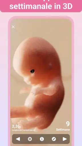Gravidanza +| Maternità App screenshot 5