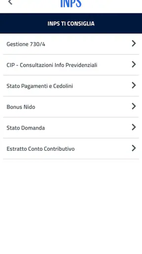 INPS Mobile screenshot 7