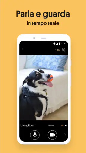 Alfred Camera: IP Camera screenshot 11