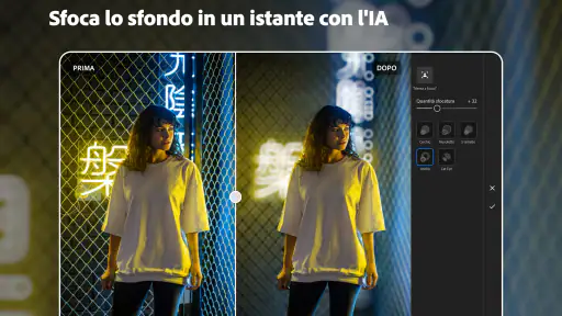 Lightroom video e foto editor screenshot 11