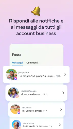 Meta Business Suite screenshot 5