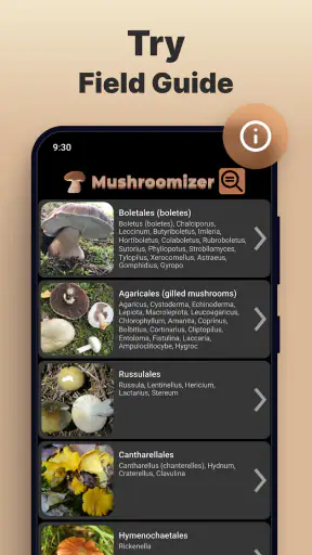 Mushroomizer screenshot 5