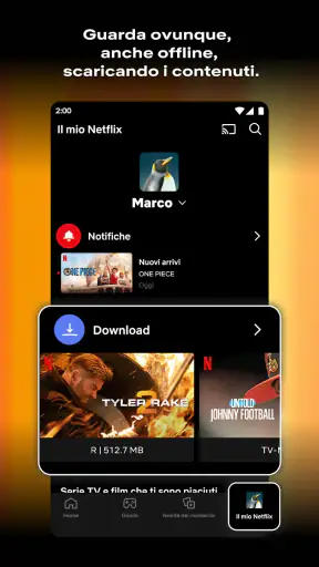 Netflix screenshot 2