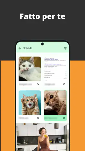 Browser video screenshot 4
